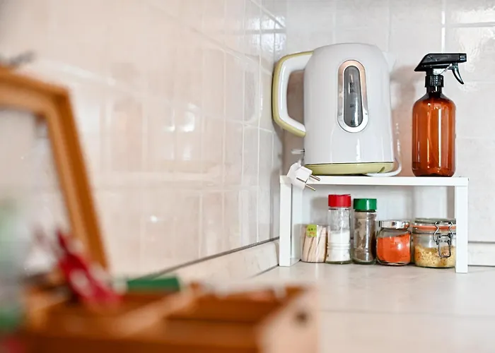 公寓 Olivia 扎达尔